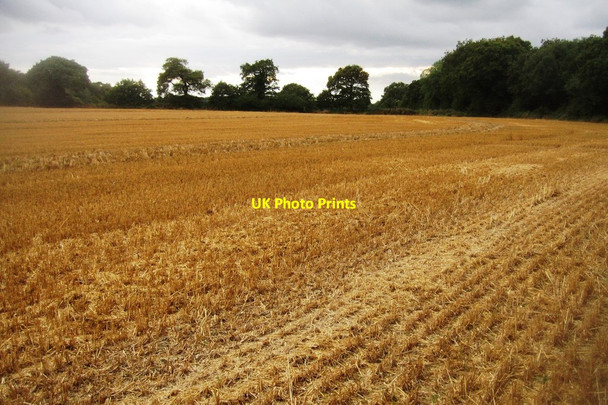 Photo 6"x4" Another season is done Pardown c2014