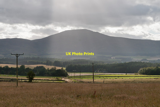 Photo 6"x4" Across the fields to Morven Coynach c2014