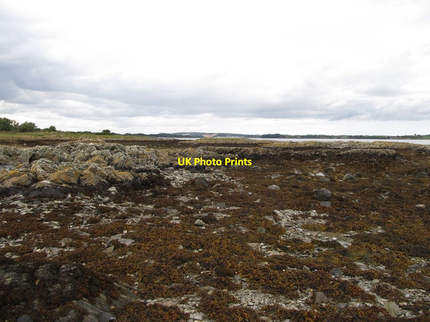 Photo 6"x4" Exposed rocks at Kilclief Point Strangford\/J5849 c2013