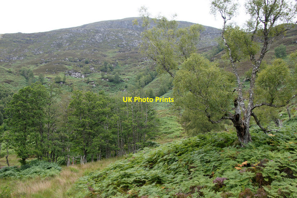 Photo 6"x4" Glen Strathfarrar near Creag a' Bhealaidh Loch an A\u00ecridh Fhraoich c2014