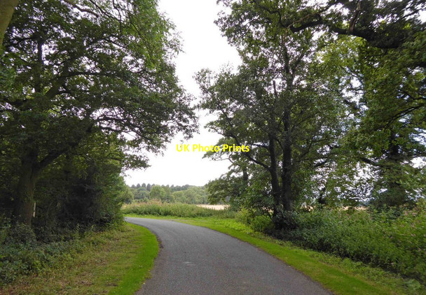 Photo 6"x4" Highfield Lane near Womersley Balne c2014