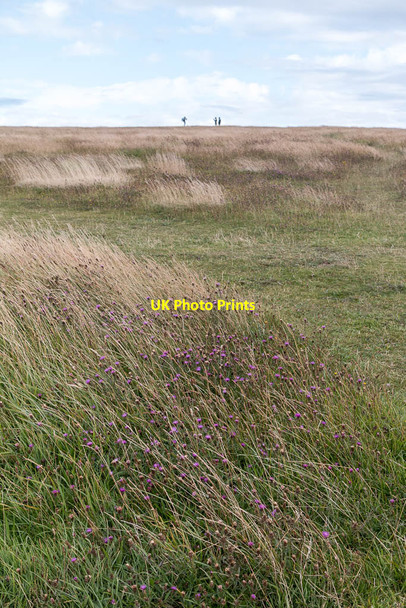 Photo 6"x4" On the Edge, Beachy Head, Sussex Meads\/TV6097 c2014