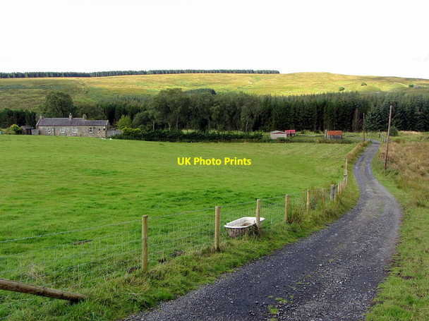 Photo 6"x4" Track to Deadwater Station Kielder c2014