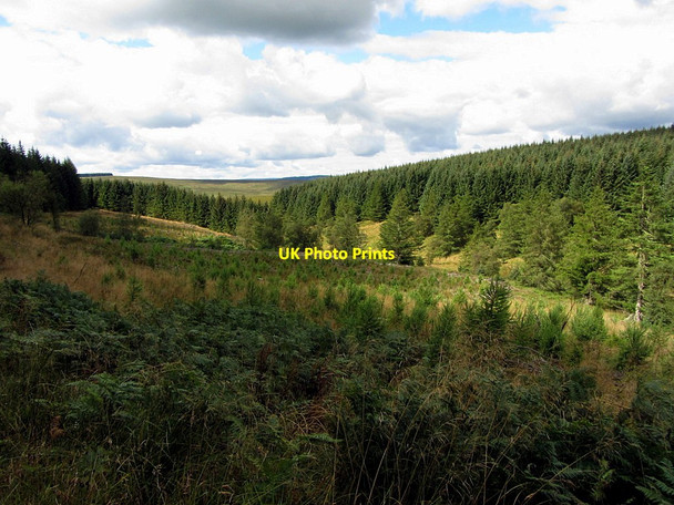 Photo 6"x4" View down Deadwater Burn Deadwater\/NY6197 c2014