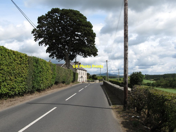 Photo 6"x4" A fine house and a tall tree on the Dromara Road Ballyroney c2014
