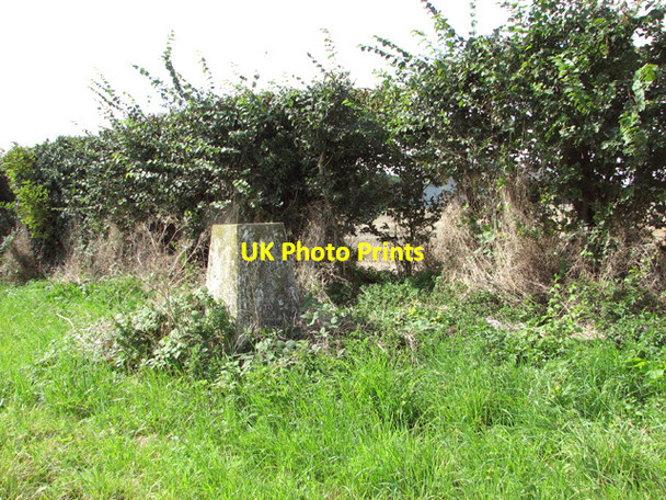 Photo 6"x4" Triangulation pillar beside field boundary hedge Egmere c2014