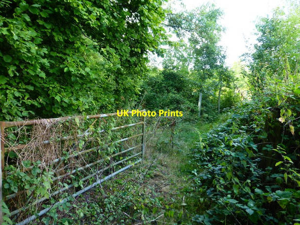 Photo 6"x4" Gate on bridleway between Fincham's and Clay's Copses Hillside\/SU7550 c2014