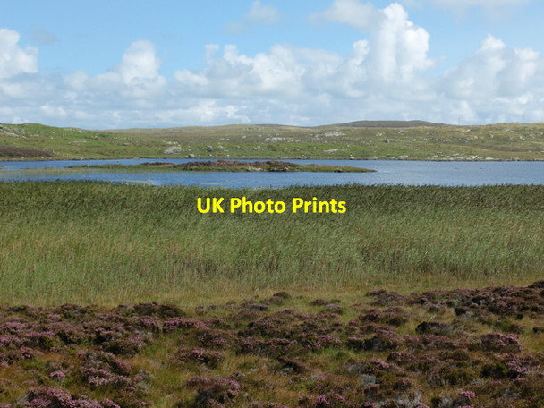 Photo 6"x4" Rushes by Loch nan Geireann Greinetobht c2014