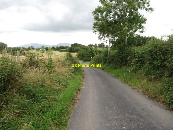 Photo 6"x4" View east along a section of High Road Ballyroney c2014
