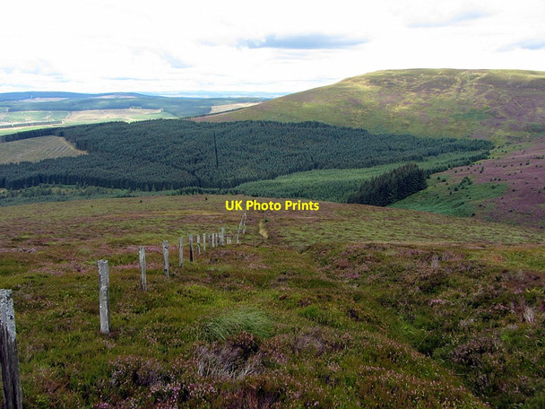 Photo 6"x4" Old boundary fence, Deadwater Moor Kielder c2014