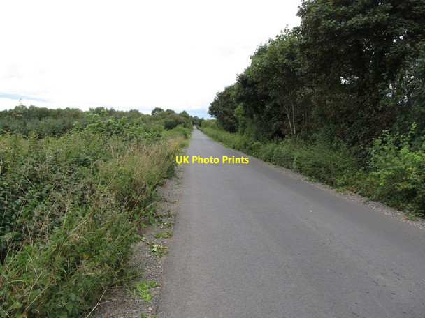 Photo 6"x4" View WNW along Lackan Road Ballyroney c2014