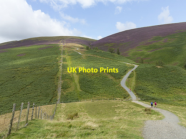 Photo 6"x4" Path to Skiddaw Keswick\/NY2623 c2014