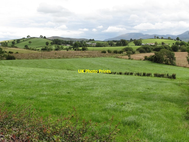 Photo 6"x4" Inter-drumlin wetland at Flush Farm Ballyward c2014