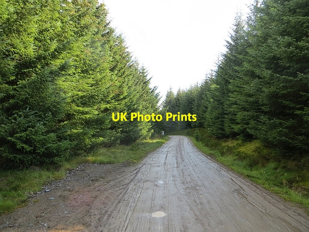 Photo 6"x4" Road, Griffin Forest Meall an Lochain\/NN8845 c2014