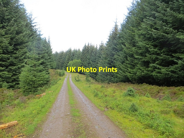 Photo 6"x4" Road, Griffin Forest Cultullich Burn c2014