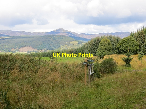 Photo 6"x4" Signpost, Griffin Forest Cultullich Burn c2014
