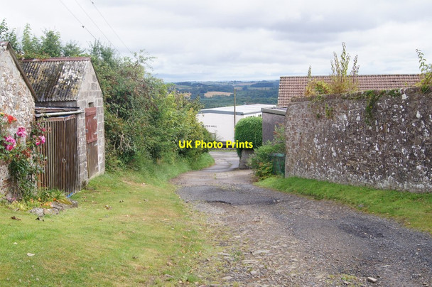 Photo 6"x4" Cott Lane North Town\/SS5109 c2014