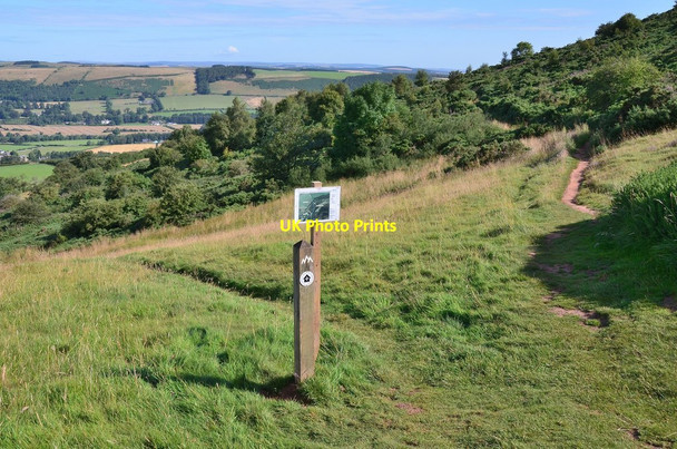 Photo 6"x4" Path diversion, Eildon Hills Melrose\/NT5434 c2014