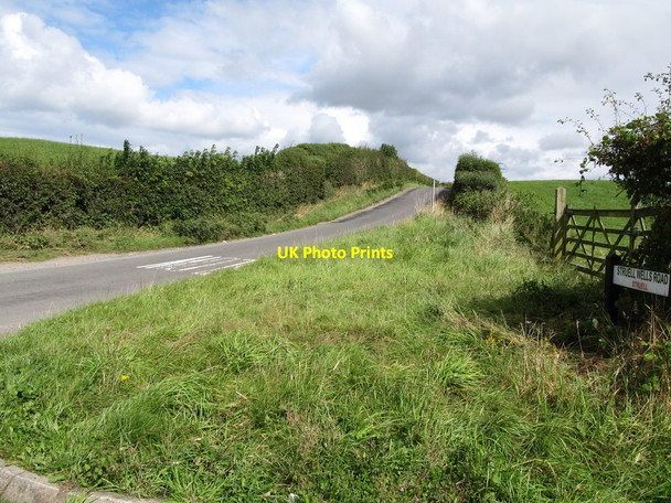 Photo 6"x4" View east along Struell Wells Road Downpatrick c2014