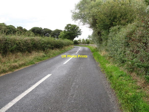 Photo 6"x4" Shore Road between St Malachy Park and Kilclief Strangford\/J5849 c2013