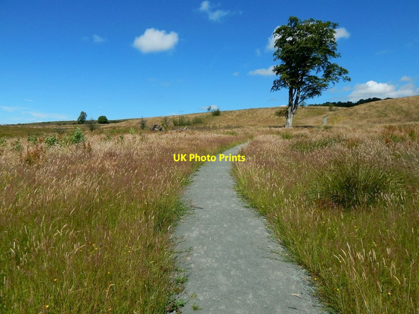 Photo 6"x4" Path in Lang Craigs Woodland Dumbarton c2014