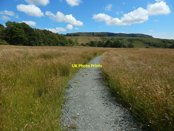 Photo 6"x4" Path beside Square Wood Dumbarton c2014