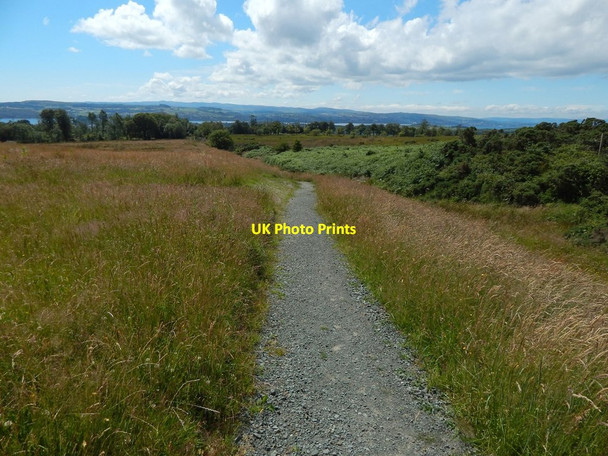 Photo 6"x4" Path to Barr Wood Dumbarton c2014