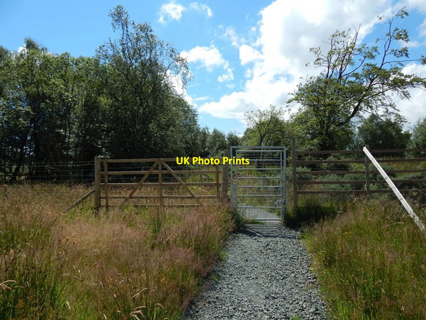 Photo 6"x4" Gate on circular path Dumbarton c2014