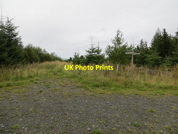 Photo 6"x4" Signpost, Jeanie's Wood Gavinton c2013