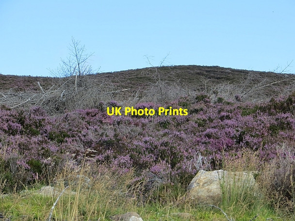 Photo 6"x4" Meall Reamhar Meall Reamhar\/NN9346 c2014