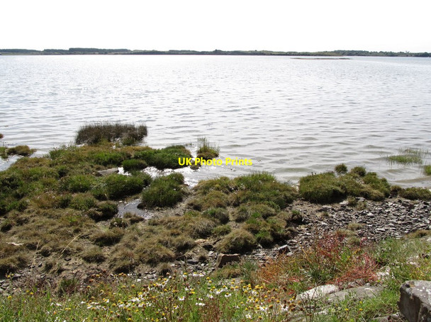 Photo 6"x4" Salt marsh at the edge of Inner Dundrum Bay Dundrum\/J4036 c2013
