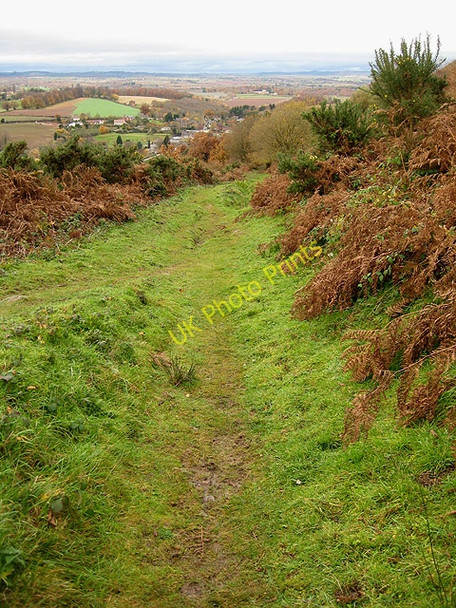 Photo 6"x4" Ridge path, Coppett Hill Goodrich c2008