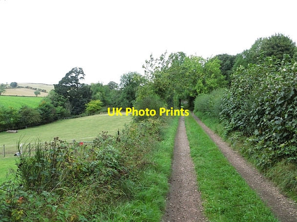 Photo 6"x4" Road, Monimail Monimail c2013