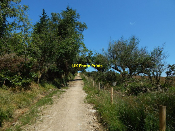 Photo 6"x4" The Three Lochs Way Helensburgh c2014
