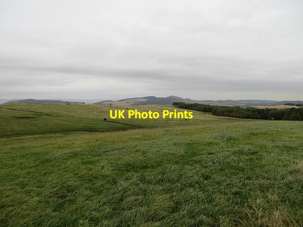 Photo 6"x4" Grassland, Dunbog Hill Dunbog c2013