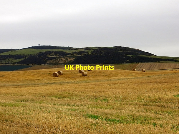 Photo 6"x4" Stubble, Collairnie Dunbog c2013