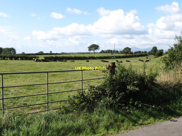 Photo 6"x4" Farmland south of the Ballee Road Bishops Court\/J5642 c2014