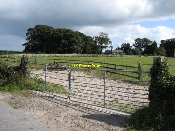 Photo 6"x4" Gallops at the Glebe House Stud at Ballee Bishops Court\/J5642 c2014