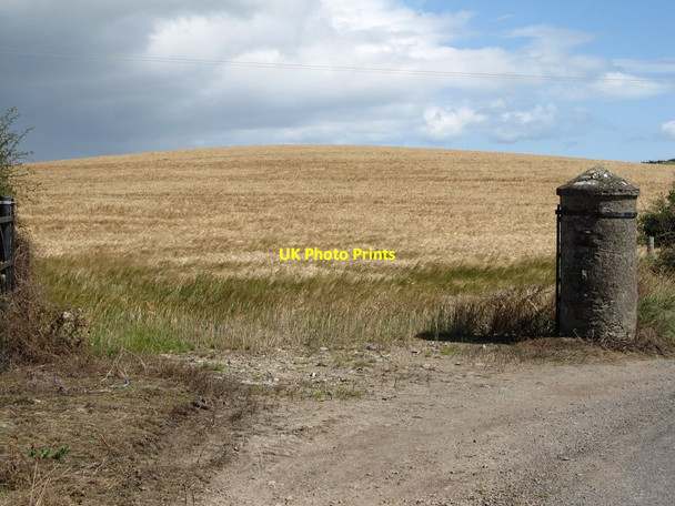 Photo 6"x4" Gateway into harvested field off the Ballyhosset Road Bishops Court\/J5642 c2014