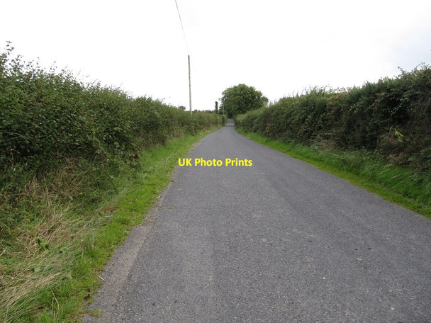 Photo 6"x4" View east along Ballyhosset Road Bishops Court\/J5642 c2014