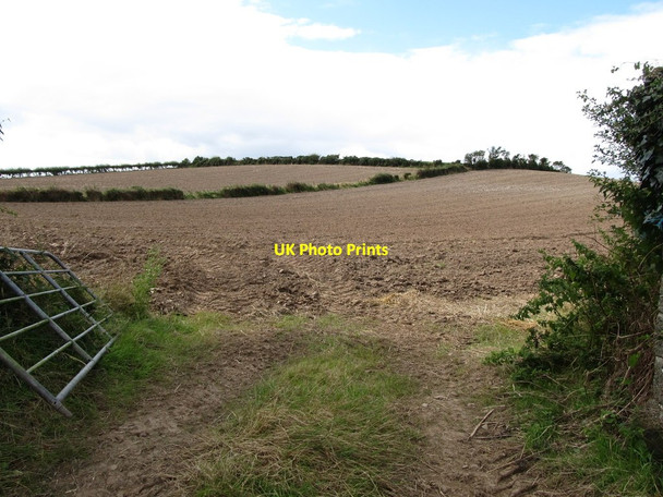 Photo 6"x4" Ploughed drumlin land south of the Ballyhosset Road Bishops Court\/J5642 c2014