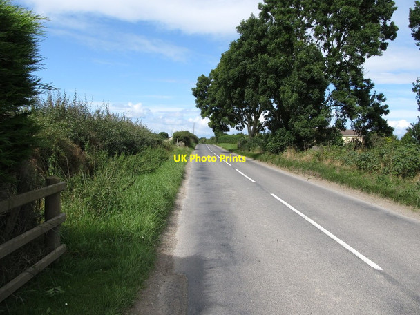 Photo 6"x4" View north-westwards along Ballyhornan Road Bishops Court\/J5642 c2014