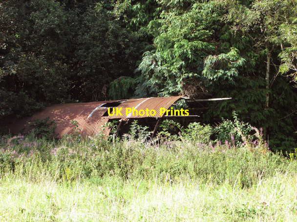 Photo 6"x4" The shell of an old Nissen hut New Rackheath c2014