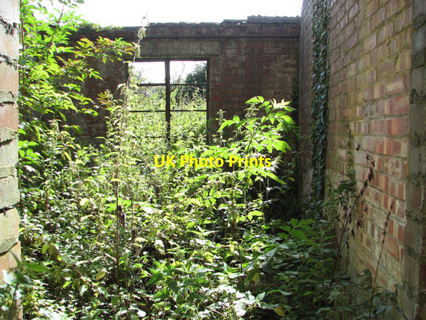 Photo 6"x4" Ruined building in the woods New Rackheath c2014 P1