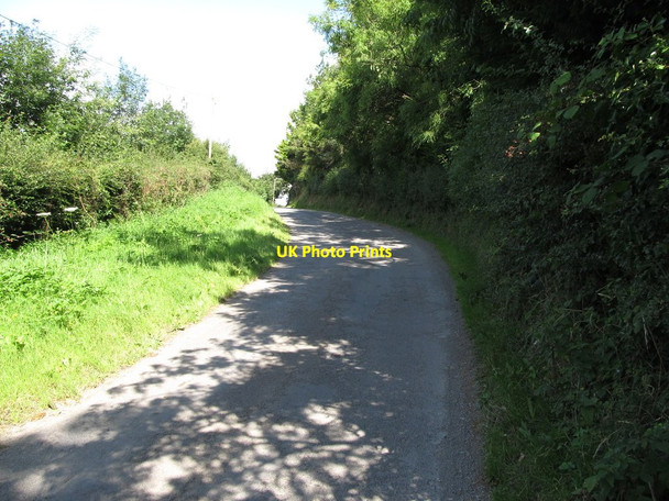 Photo 6"x4" View north along Ballytrustan Road Bishops Court\/J5642 c2014