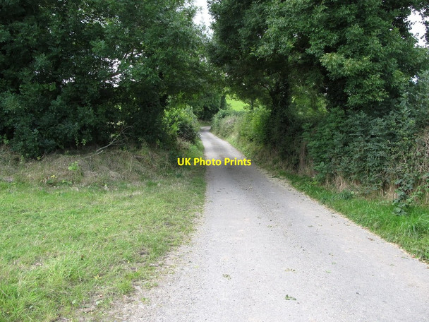 Photo 6"x4" Lower end of Ballysallagh Road Bishops Court\/J5642 c2014