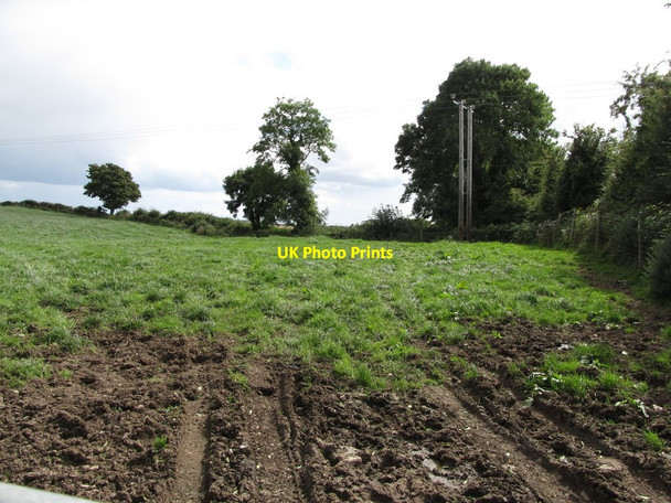 Photo 6"x4" 11kv power lines running parallel with the Ballysallagh Road Downpatrick c2014