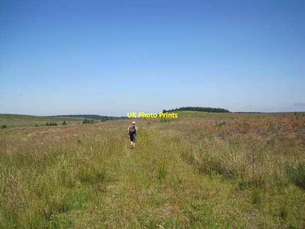 Photo 6"x4" Start of Forest Track near Michael Sike Linen Sike c2014