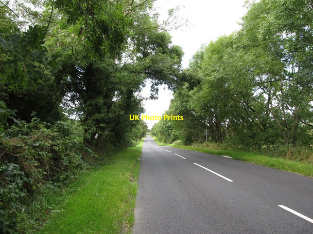 Photo 6"x4" View due west along Ballyhornan Road Bishops Court\/J5642 c2014