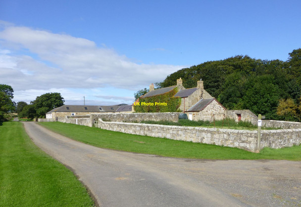 Photo 6"x4" Paxton Dene Causey Park Bridge c2014